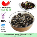 Hubei Changyou food white back black fungus strip with ISO